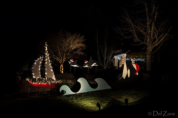 11-27-13  Marine Heights Nighttime Xmas Display JPEGs--2