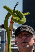 07-20 Snakes--12