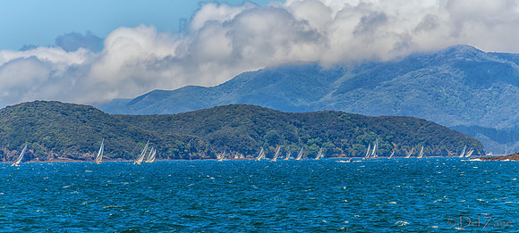 Bay of Islands NZ--11
