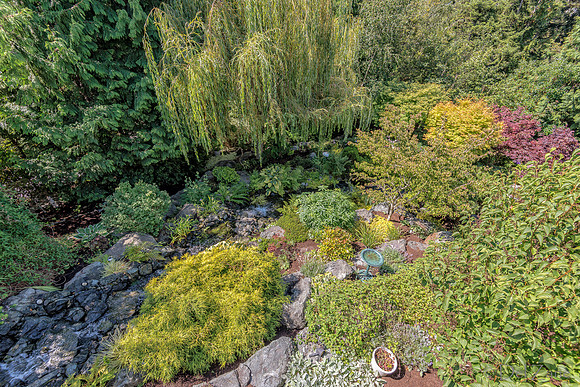 08-17 Shadra Garden 2015 TIFFs--51