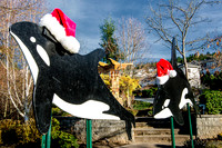 11-27-13  Marine Heights Daytime Xmas Display JPEGs--14