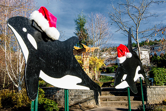 11-27-13  Marine Heights Daytime Xmas Display JPEGs--14