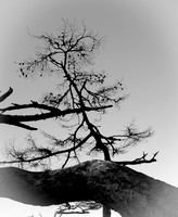 _DSC4163