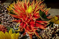 09-21 Bouquet Bokeh-