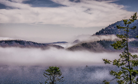 07-11 Fogust-2