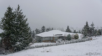 12-20 Snowy Day-0584