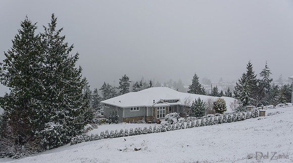 12-20 Snowy Day-0584