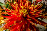 09-21 Bouquet Bokeh--6
