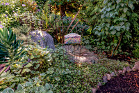 08-17 Shadra Garden 2015 TIFFs--14