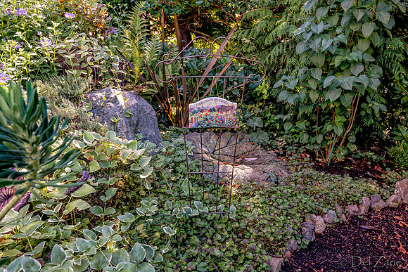 08-17 Shadra Garden 2015 TIFFs--14