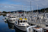 10-05 Cap Sante Marina-0551