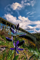 04-02 Deception Pass Bridge TIFFs--7