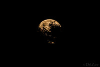 Super Moon!!!