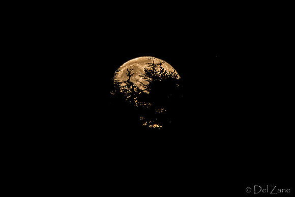 08-10 Super Moon Tiffs-