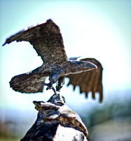Bronze Eagle-3