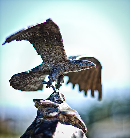 Bronze Eagle-3