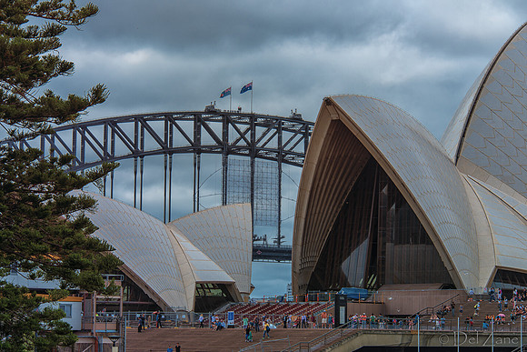 Sydney Walkabout--15