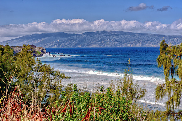 01-16 Maui Northshore TIFFs--3