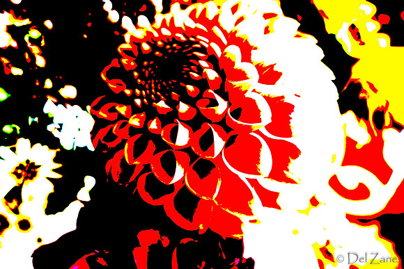 09-19 Colorized Bouquet Bokeh-0299