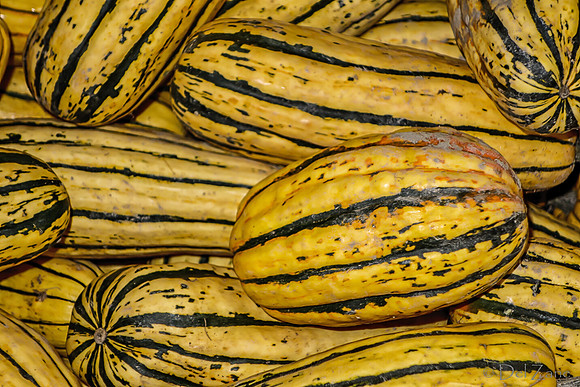 11-23-2013  Xmas Farmers' Market II--22