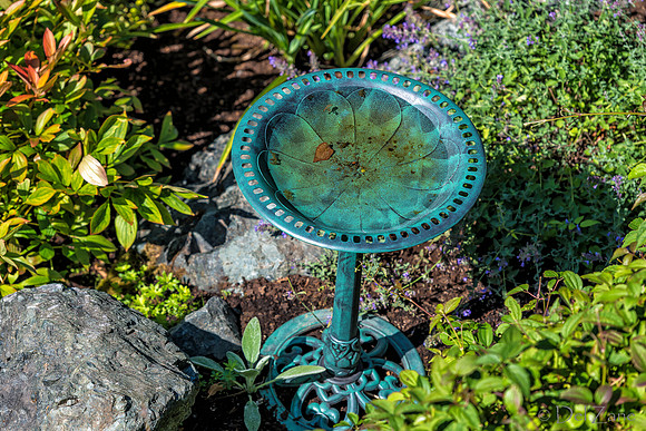 08-17 Shadra Garden 2015 TIFFs--12