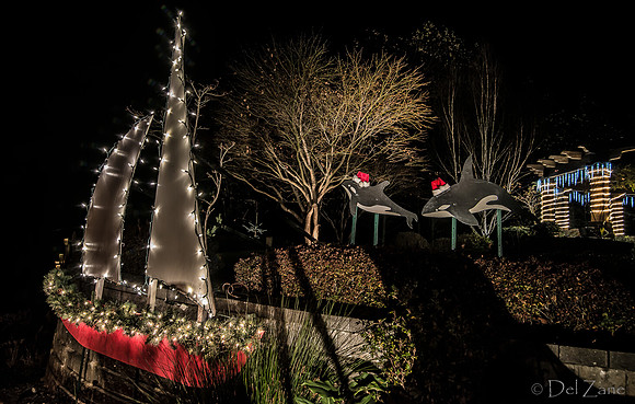11-27-13  Marine Heights Night Xmas Display--14