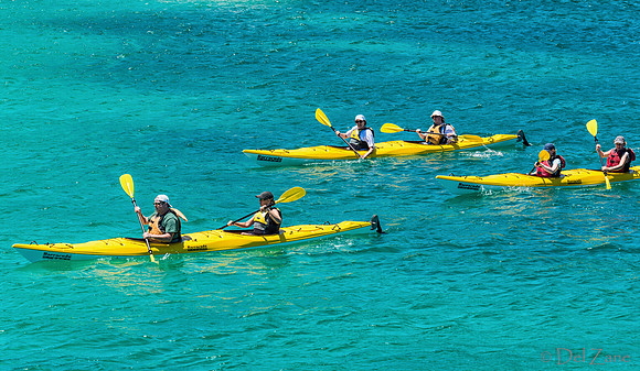 Bay of Islands NZ--19