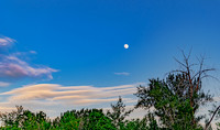 Quiet Backyard Evening 06-03-2020