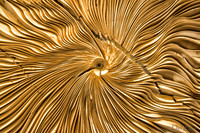 Inside Solstice--4