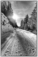 Mt. Baker...Revisted-19