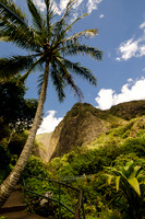 Iao Valley State Park-17