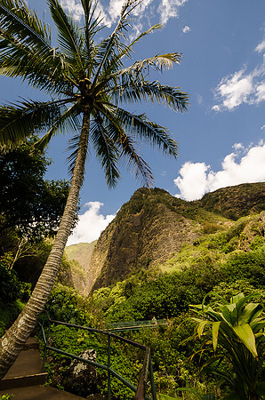 Iao Valley State Park-17
