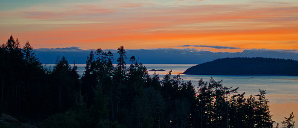 DSC_6895-Edit-5
