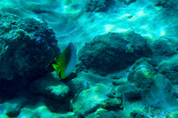 01-18 Makena Underwater TIFFs--4