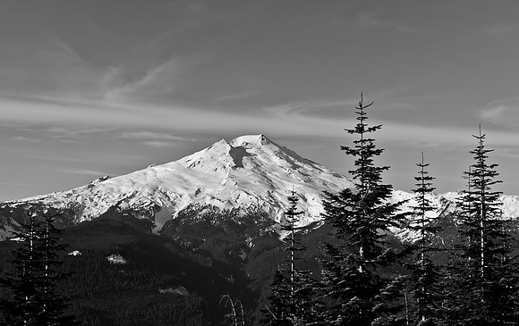 _DSC5011
