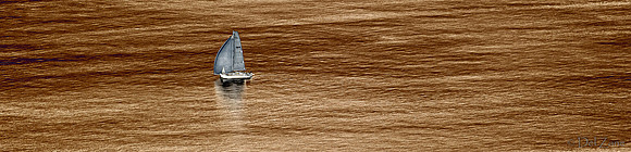 08-25-2012 Northern Century Sailboat Race-55