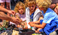 07-21 Farmers' Market-2