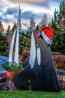 12-12 MH Daylight Xmas Display-7