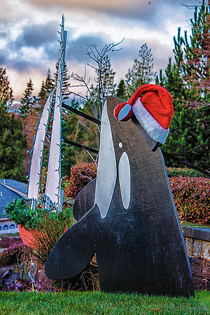 12-12 MH Daylight Xmas Display-7