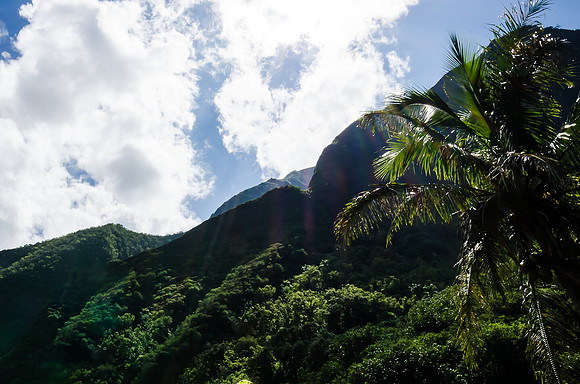 Iao Valley State Park-29