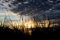 _DSC5522