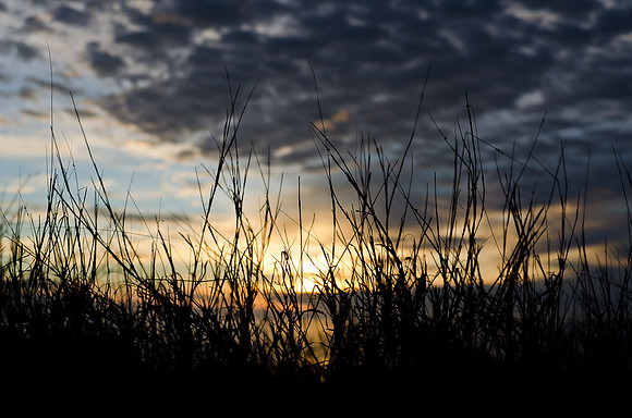 _DSC5522