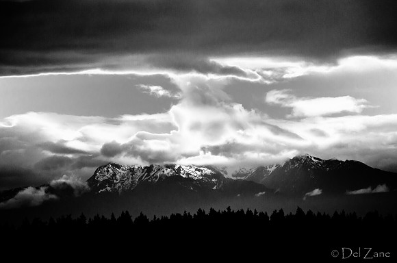 The Very Distant Olympic Mountains-4