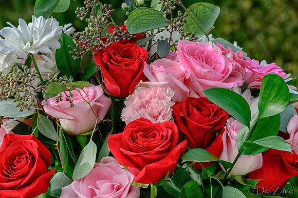 10-30 B'Day Bouquet TIFFs-