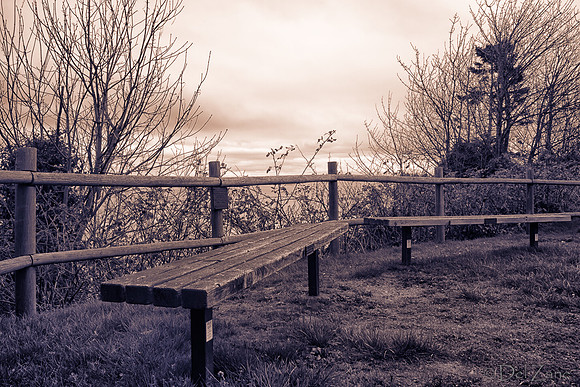 03-02 Coupeville-35