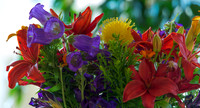 06-19 Flowers--9
