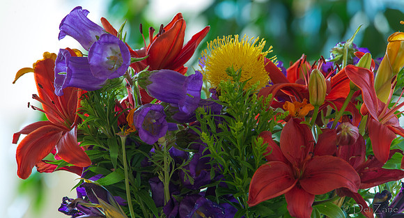 06-19 Flowers--9