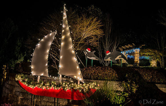 11-27-13  Marine Heights Night Xmas Display--12
