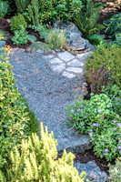 08-17 Shadra Garden 2015 TIFFs--8