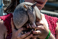 07-20 Misc Animals_reptiles--8